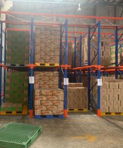 Mẫu kệ Drive MS: 02